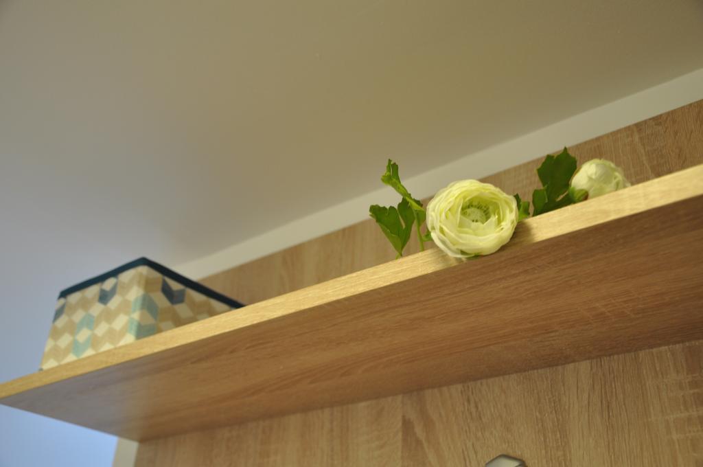 Smp Apartment Timişoara Buitenkant foto